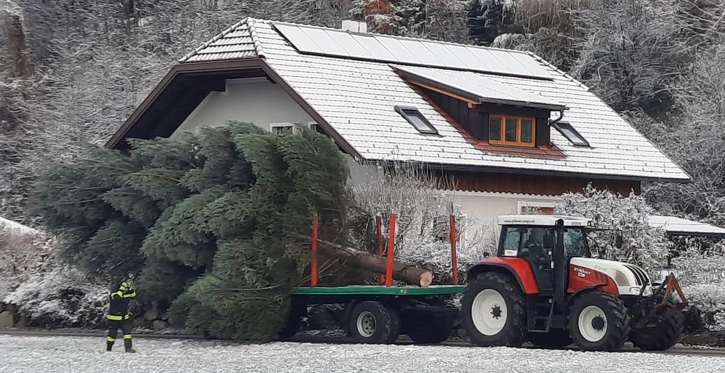 Christbaum aufstellen